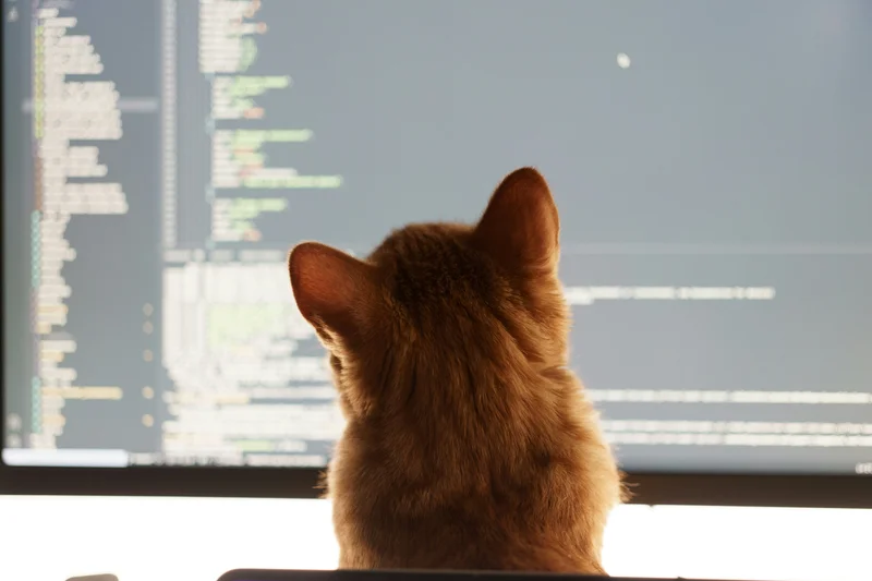 What do humans do if AI reviews the code?