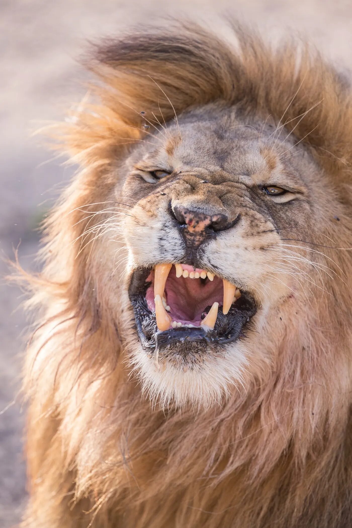 Three reasons not to bring hostility