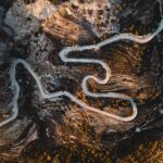 A winding path, seen from above